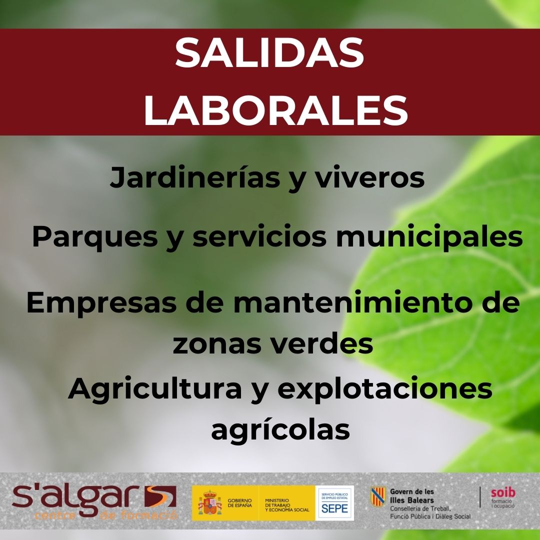 salgarformacio's tweet photo. ¿Trabajas en jardines, huertos o viveros?
¡Tienes que hacer este curso! Obtendrás la certificación oficial
Aprenderás a usar productos fitosanitarios con seguridad, a controlar plagas y a proteger el entorno. 
Inca
28 de septiembre
https://t.co/2KARNTWC6S
971 82 58 94 https://t.co/B56rErBCGx