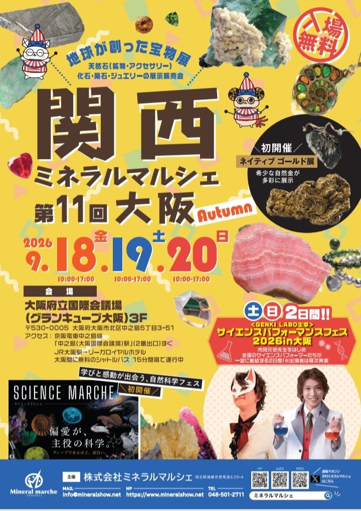 AsukaGemstone's tweet photo. 今週は大阪ミネラルマルシェに出展します♡
関西ミネラルマルシェの「大阪」の方です、、、！

アメジストはグラデーションが可愛い子たち多めです♡

Dream Coffretは「56」にてお待ちしております♡ https://t.co/s1KS9TXTtQ