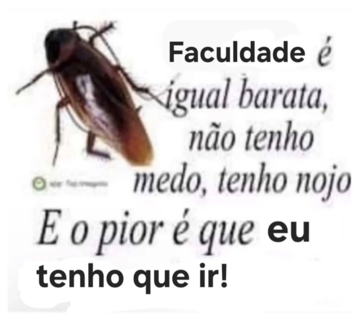 sougabu's tweet photo. e vamos pra mais um caralho de semana https://t.co/0sQEmuHcqg