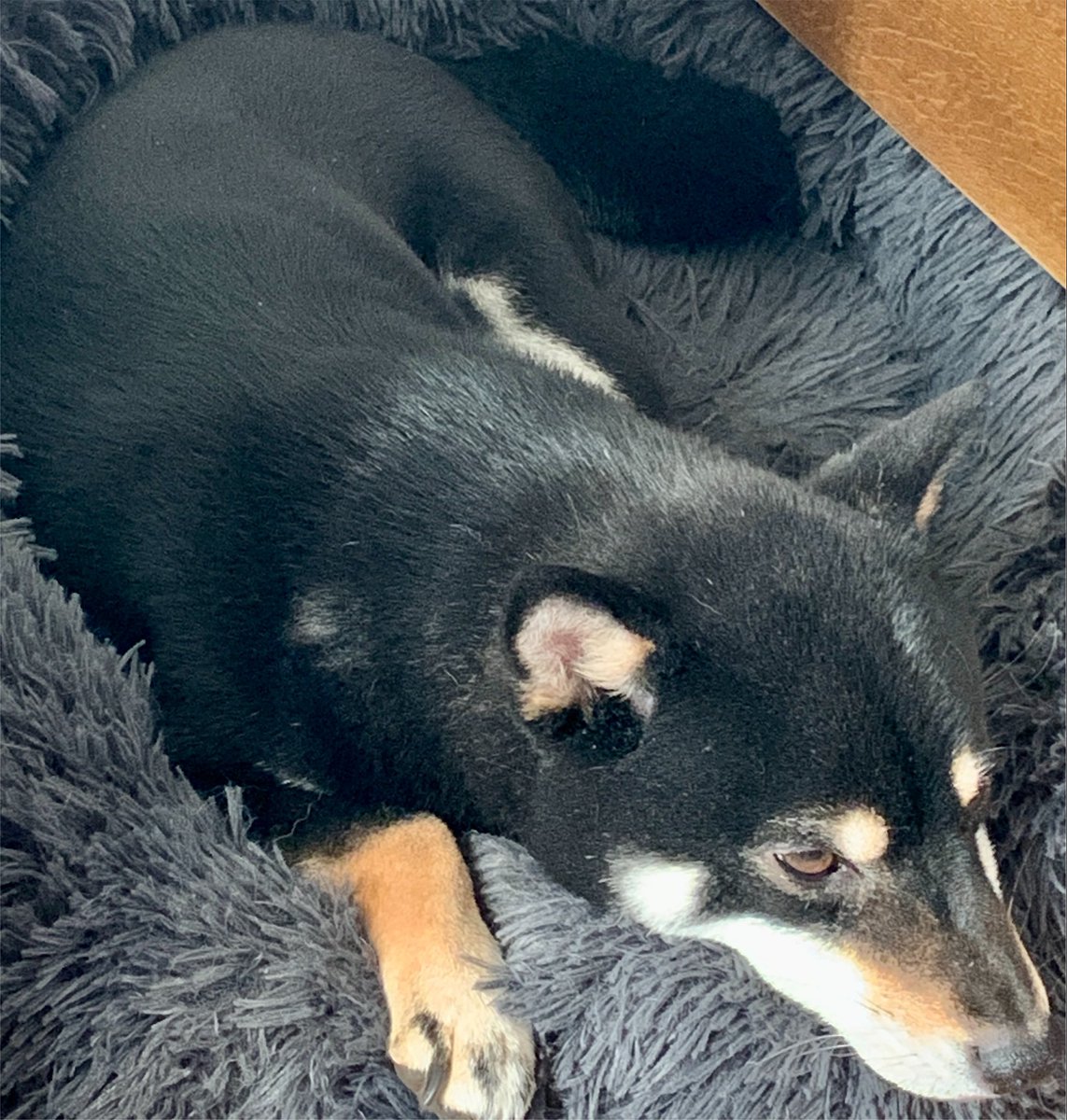 yusin724's tweet photo. 信じ込んでもよくはない
考えてもわからない
なるべくなら笑って
できるだけポジティブで
#点描のしくみ    #吉井和哉

「人間の最大の罪は 不機嫌である」
　　　　　　　　　　　　ゲーテ https://t.co/WAM7BCFdG2
