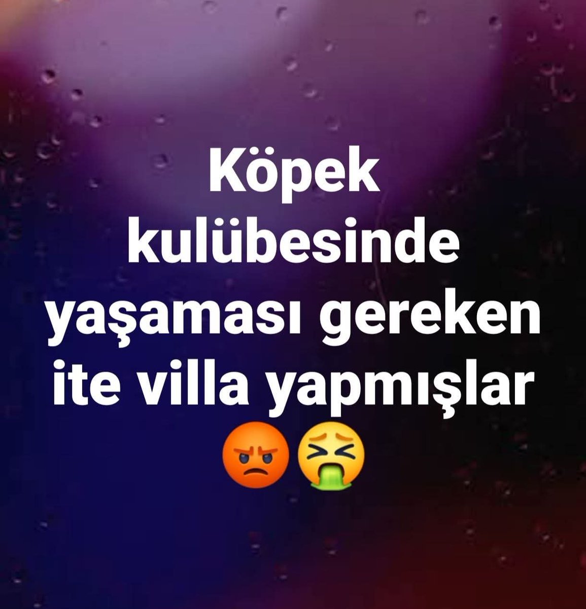 Seref_Tural_'s tweet photo. https://t.co/0al8i5VEqy