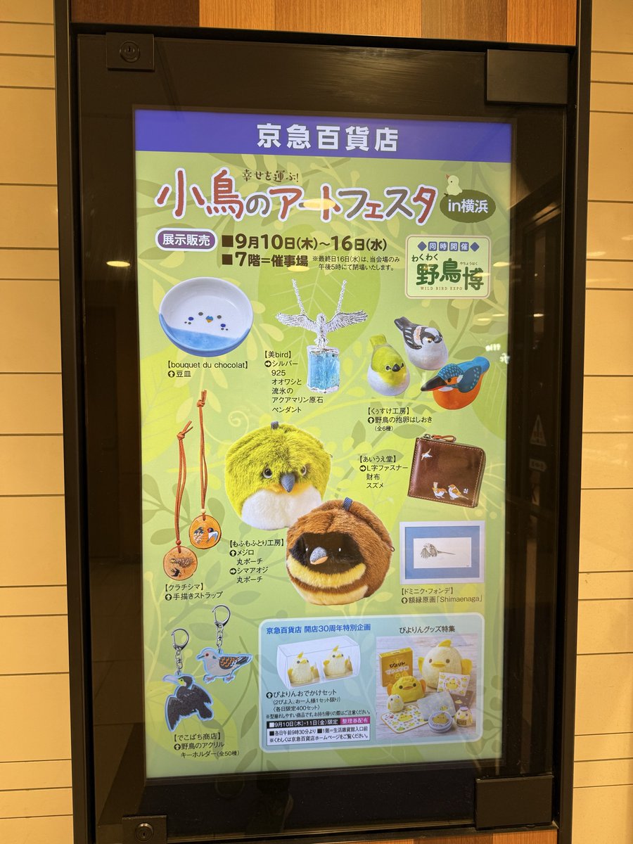 bibird_jwl's tweet photo. 本日 #小鳥のアートフェスタ 5日目！
とてもあっという間です〜
土日はわくわく野鳥博で鳥の講演会があり、とても賑わっておりました。
私も貴重なお話を拝聴することができました。

本日は平日で、落ち着いてご覧になれます。ぜひお越しくださいませ〜☺️ https://t.co/GmjtZ0mOS0