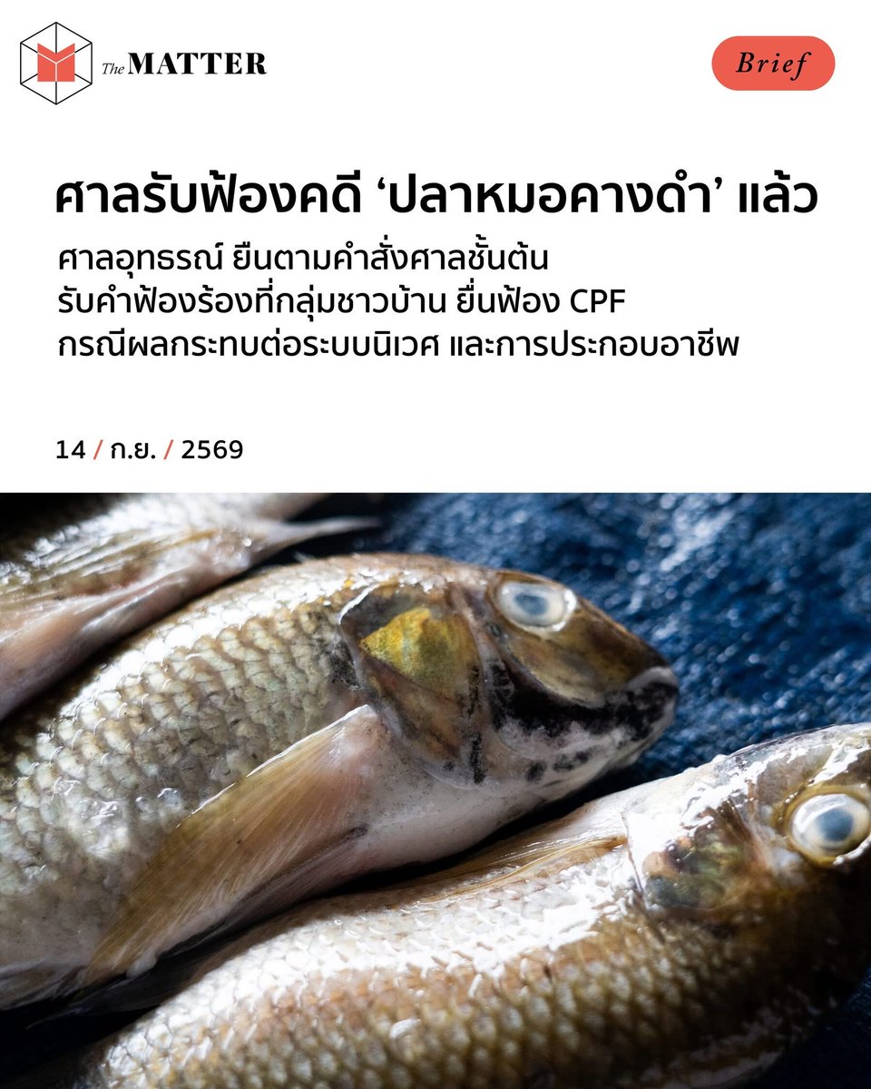 thematterco's tweet photo. หลังจากที่กรณีปลาหมอคางดำเป็นประเด็นที่สังคมสนใจมายาวนาน วันนี้มีความคืบหน้าในด้านของกระบวนการยุติธรรม

ไทยพีบีเอส รายงานว่า วันนี้ศาลอุทธรณ์ได้มีคำสั่งยืนตามศาลชั้นต้น รับการฟ้องร้องเป็นคดีกลุ่ม https://t.co/gXa51PkaFh