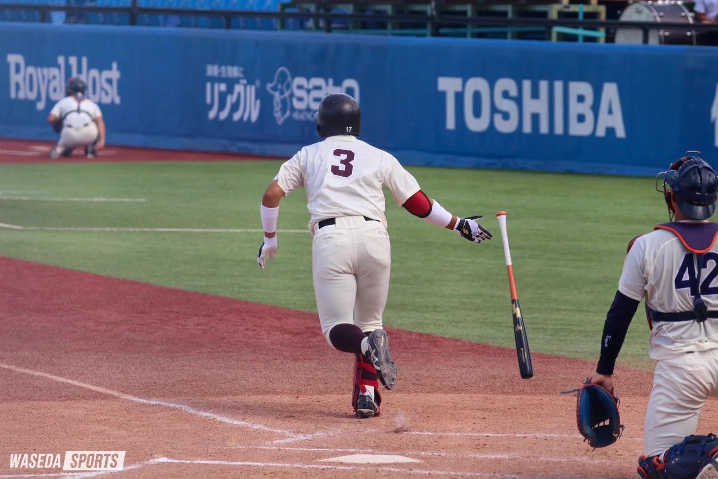 早稲田スポーツ新聞会 on X: 