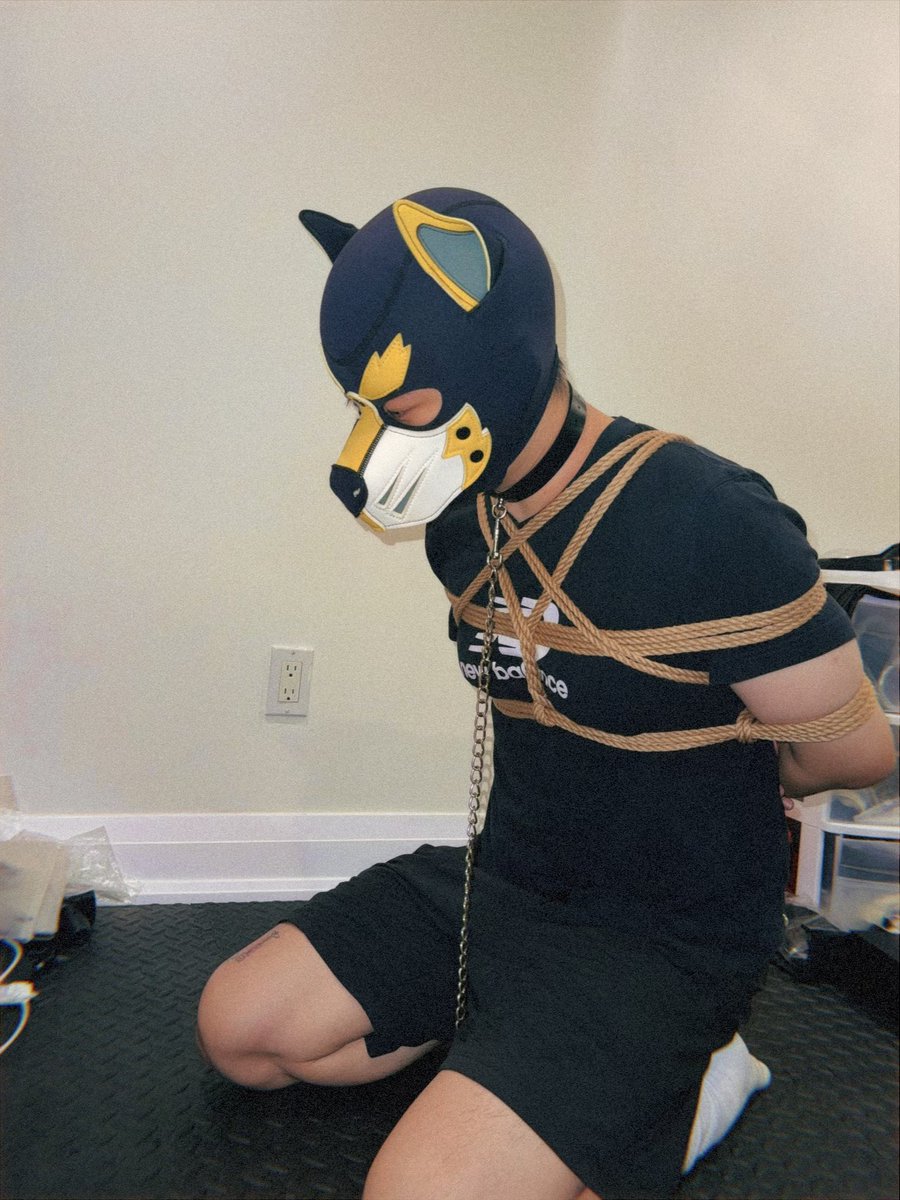 Diyak_Duck's tweet photo. @Pmowneddoggy 
@PM_220115 
🪢🪢 https://t.co/eMhEYFdRcR