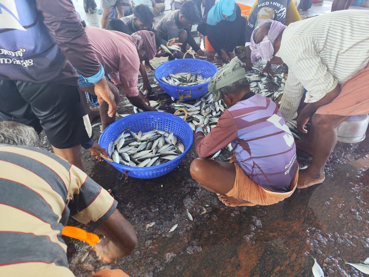 Anand02908794's tweet photo. 🌍🪼 Rising jellyfish blooms are disrupting coastal fisheries!
> Clogging nets 🥅, damaging gear 🔧 & cutting fishers’ incomes 📉🎣
#Jellyfish #Fisheries #ClimateChange #OceanJustice #BlueEconomy #MarineConservation #OneOcean #SDG14 https://t.co/UVKyrKlO3h