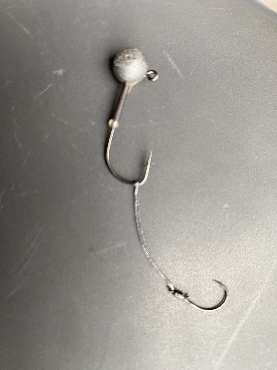 Legend_913's tweet photo. 上げ潮はハゼに変わったよw
雷魚泳いでたから目の前通してやったさ！6フィートULラインカーボンナイロン9lb、デコイ2.5ジグヘッド、グラスミノーS。全く問題なしꉂ🤣𐤔  #釣り  #ハゼ  #雷魚  #デコイ  #ジグヘッド #グラスミノー https://t.co/vSggRp8pBn