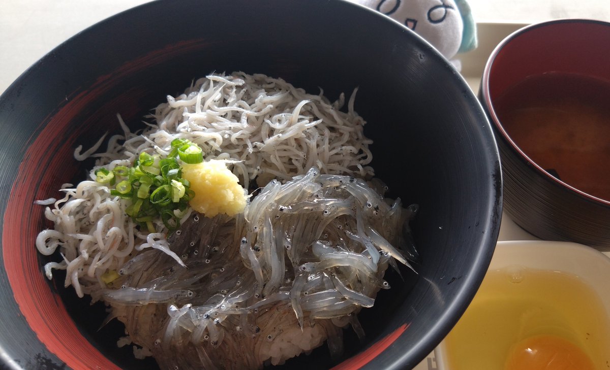 pentacky_live's tweet photo. 田子の浦漁港の
生しらすと釜揚げしらすのハーフ丼

去年のツアーで食べて
もう1回！と思ってたメニュー
やっぱり美味しかった

記憶に残るツアーめしを食べて
無事に帰宅

サマチャレ
おつかれさまでした🙌 https://t.co/K282jkQONm