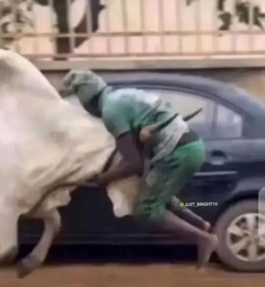 zicoofficial79's tweet photo. Make una talk fast, I dn grab the bull by the horn😭😭🤲 https://t.co/PuWoL3FoKX