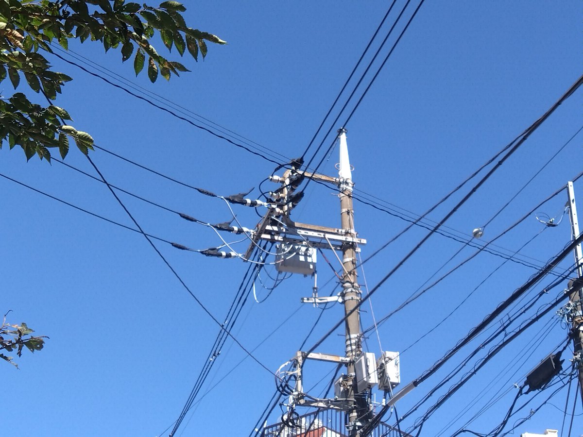 dencyu_bu's tweet photo. 伸ばし分岐 https://t.co/hHQFAAt5MG