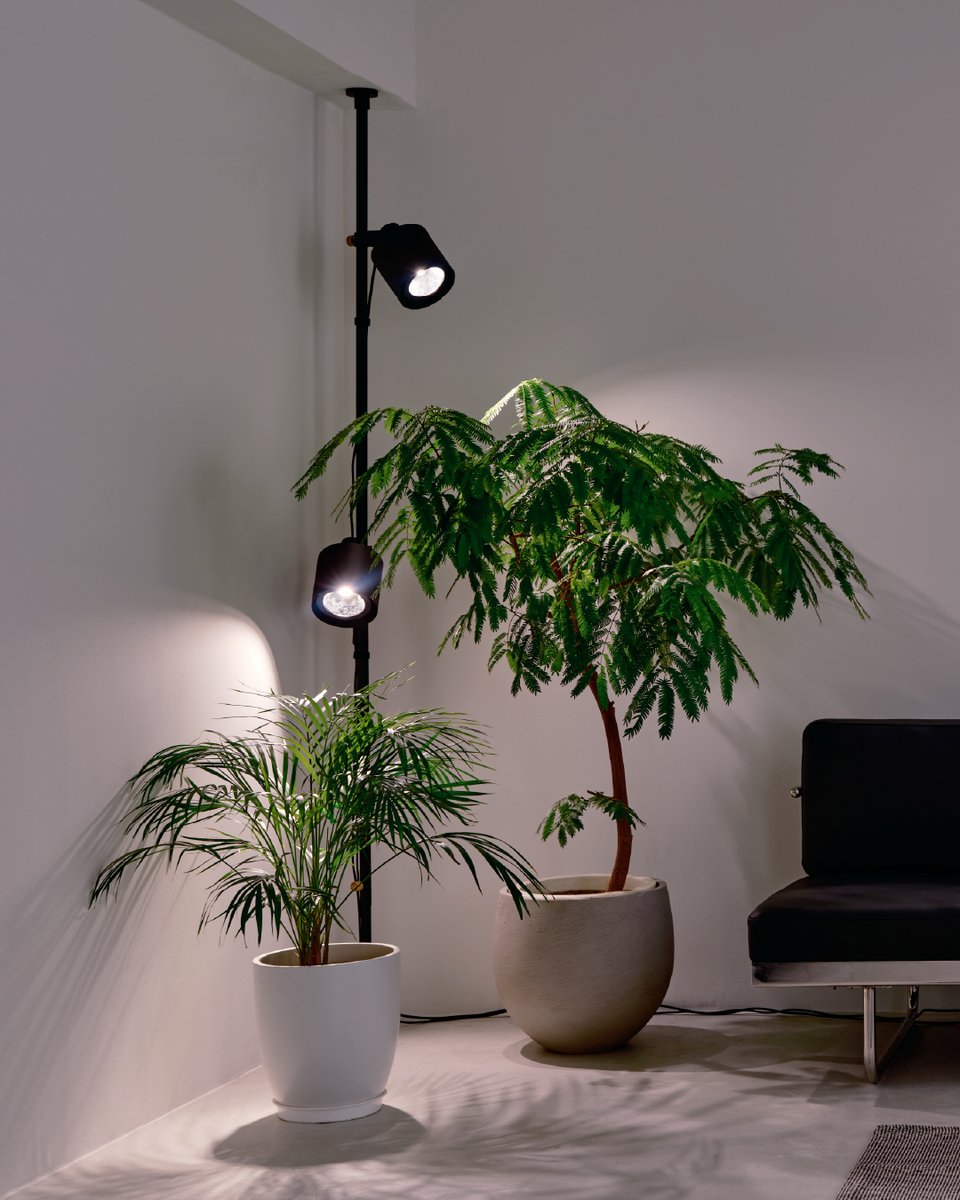 drawaline_jp's tweet photo. [New Series]

「DRAW A LINE Grow Light Series」
本日より販売開始

植物育成ライト専門店「BARREL」とコラボレーション。

賃貸でも部屋の暗さや風通しに縛られず、
自由な位置から植物に適した「光」と「風」を届けられる。

「植物を育む一本の線」

▼online shop
https://t.co/HakzJ3Qc15 https://t.co/YYlfpVbxwS