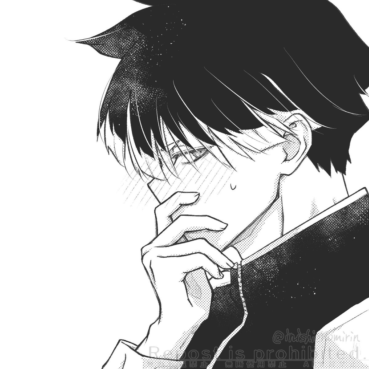 inishienomirin tweet picture