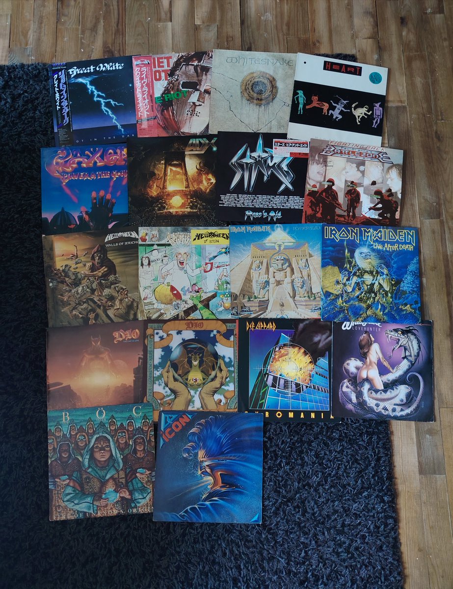 CanuMathieu's tweet photo. Chasse le LP. PWOA X. https://t.co/wgzebq6EkT