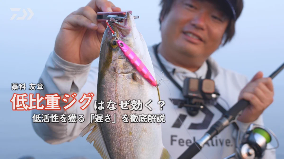 DAIWA SW Fishing Shore on X: 