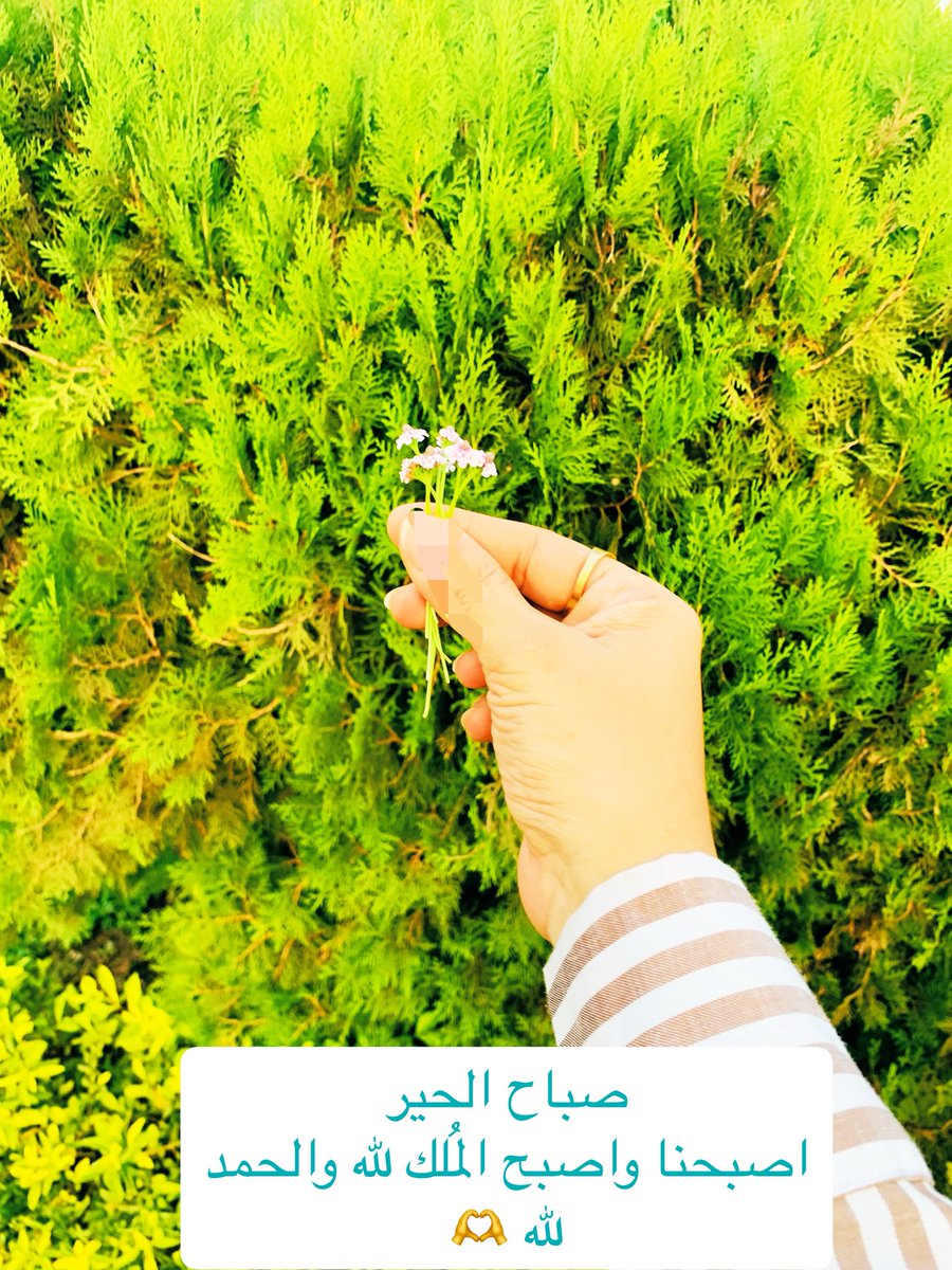 memaalsaeed's tweet photo. ❤️ https://t.co/ahIKPvBnUB