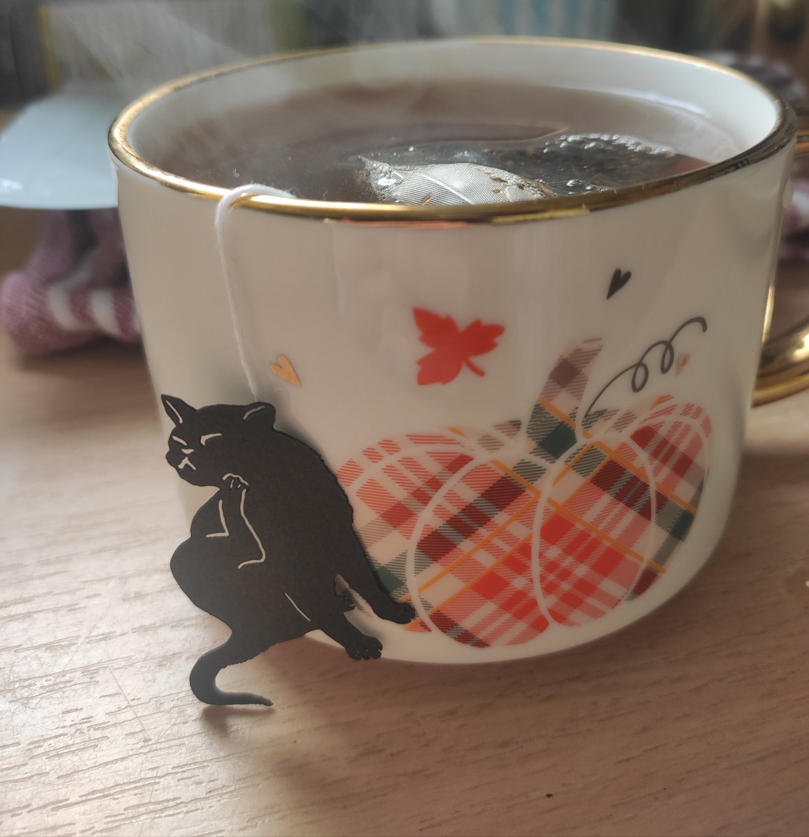 noeltoki's tweet photo. Чайок з котиком 😊 https://t.co/4v76U7xwZJ