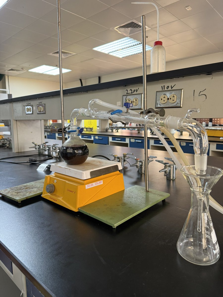 7llula's tweet photo. First lab, new beginnings ✨ https://t.co/GJW3LMdIMh