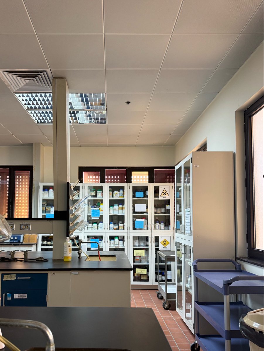7llula's tweet photo. First lab, new beginnings ✨ https://t.co/GJW3LMdIMh