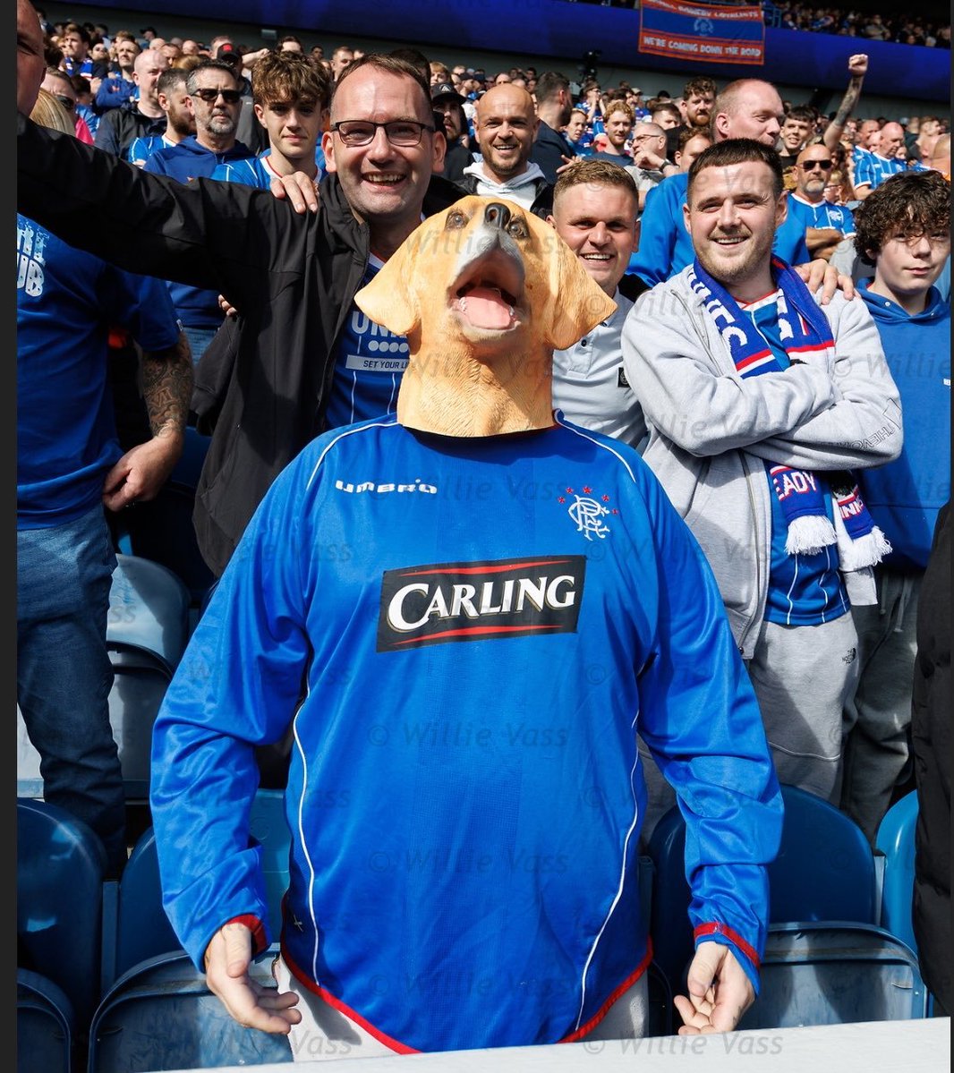 Rfc_Rossj's tweet photo. Superb 😂😂😂😂 https://t.co/es95cSOGos