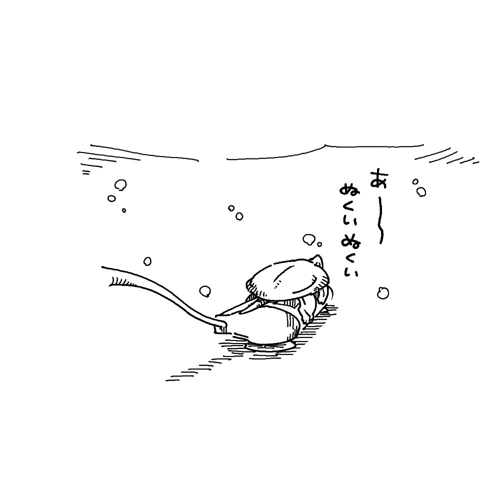 千年なめこ on X: 