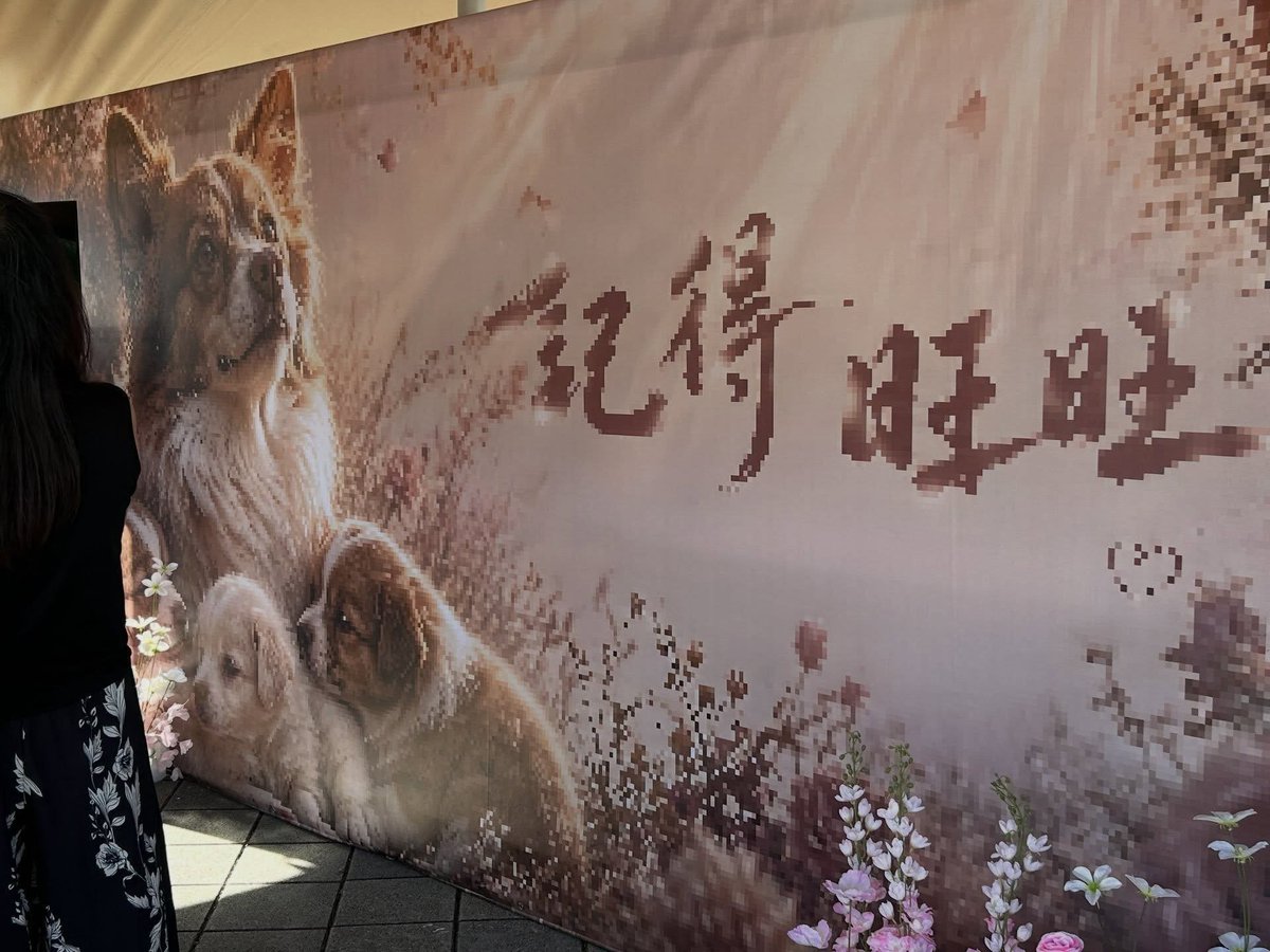 台北花博公园举办追思活动纪念广东揭阳虐狗事件流浪母犬旺旺及其幼犬