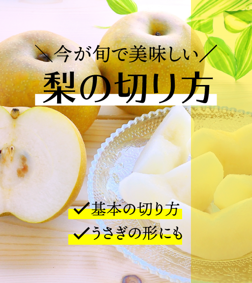 moa_eat's tweet photo. 今が旬のフルーツ #梨 は上品な甘さがあり本当に美味しいですよね✨
9月に特におすすめなのは
#豊水梨 #二十世紀梨 です！

今回は「梨の切り方のポイント」をご紹介します！
基本の切り方、可愛らしく写真映えする飾り切りにもぜひ挑戦してみてくださいね。

#秋の味覚 を美味しく召し上がれ🍐 https://t.co/ufzrxEAniE