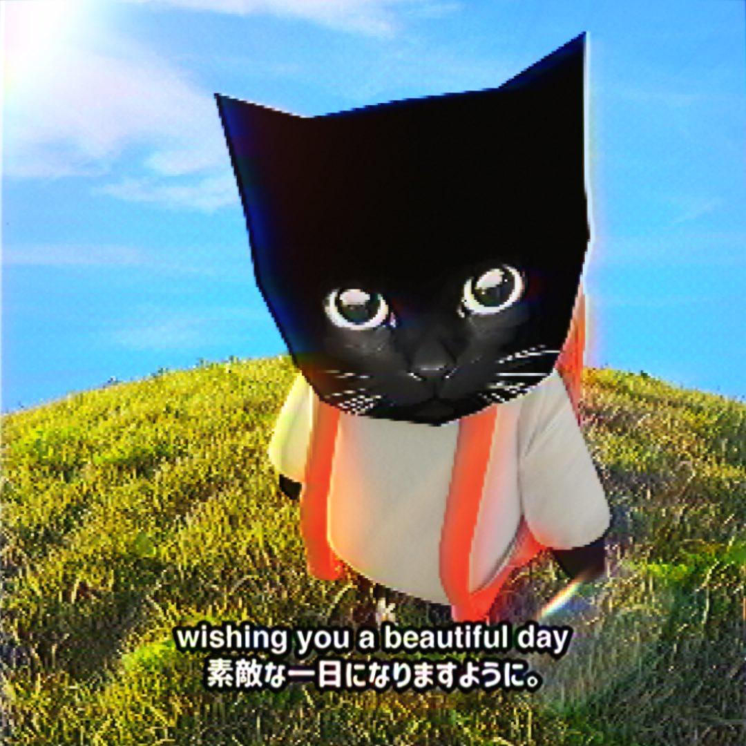 kito_ton's tweet photo. @keeper_wallet Cool Week https://t.co/tiSWDLFfS6