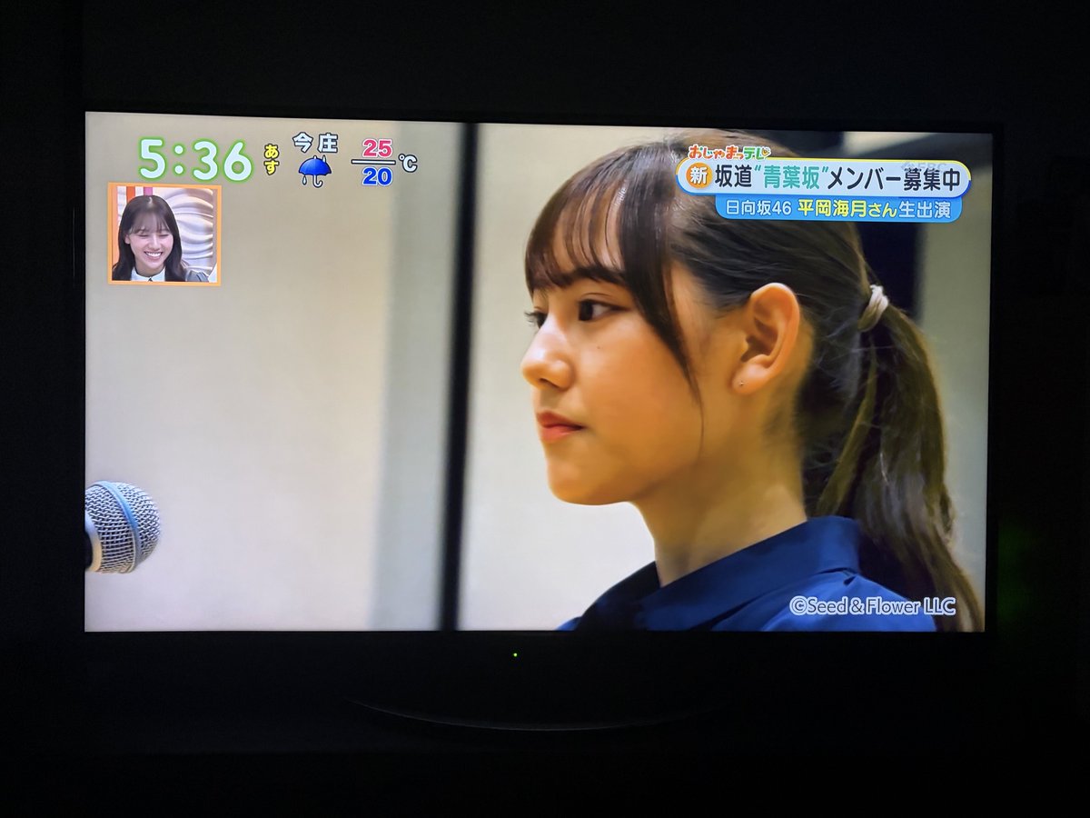 hpy46's tweet photo. 平岡海月さん、おじゃまっテレきた、嬉しいなぁ。

おかえりなさい、おひさまアナ、日向坂ちゃんねる(美浜帰省編)、いちゃいちゃ虫、Empty、北陸唯一の坂道メンバー、青葉坂46、福井帰省、サンドーム福井公演したい。等々

(テレビ直撮りでごめんなさい、おひさまに共有)
#おじゃまっテレ #平岡海月 https://t.co/O4jnpRofzD