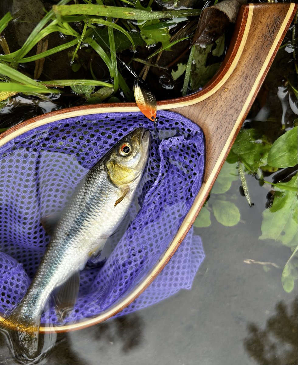 fish_jet's tweet photo. 〝何処にでも居る〟と思っていたのだが、居る所にしか居ないようなので、下流から上流まで探ってみた。
全く気配も無かったり…突然、ギラリッと反転したり…60㎝はあるナマズが出て来たり…。
あちこちポイントを探すの久しぶりに、ワクワクして楽しかった。
#PR #チャビング #ピット #iJetLink https://t.co/xDCbqlBImx