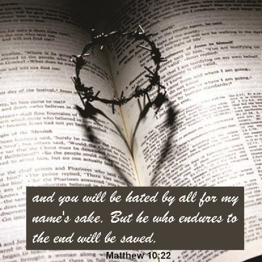 Bernadette99797's tweet photo. MAGA-NIFICENT Monday to my beloved Trumplicans of X:)
It's no wonder the libs h8 Trump! If you love Trump, you're on the right side. Do you love Trump?
#TrustJesus #bibleverseoftheday #JesusIsGod #JesusLovesYouSoMuch #JesusIsTheWayTheTruthAndTheLife #JesusIsComingBack https://t.co/svFsRdLJD1