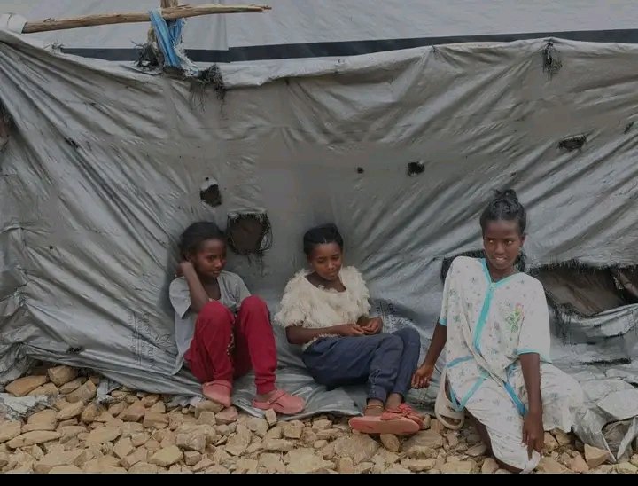 Saymen_mehari's tweet photo. 📍 WESTERN TIGRAY | 2,136 DAYS DISPLACED

💔 2,136 DAYS AWAY FROM HOME. 2,136 DAYS OF SUFFERING.

Mothers, children &amp; families continue to live in uncertainty.

🌍 UN, governments, NGOs &amp; donors: ACT NOW. Ensure safe, voluntary &amp; dignified return.
2,136 DAYS IS LONG ENOUGH. https://t.co/HHndxb7U9F