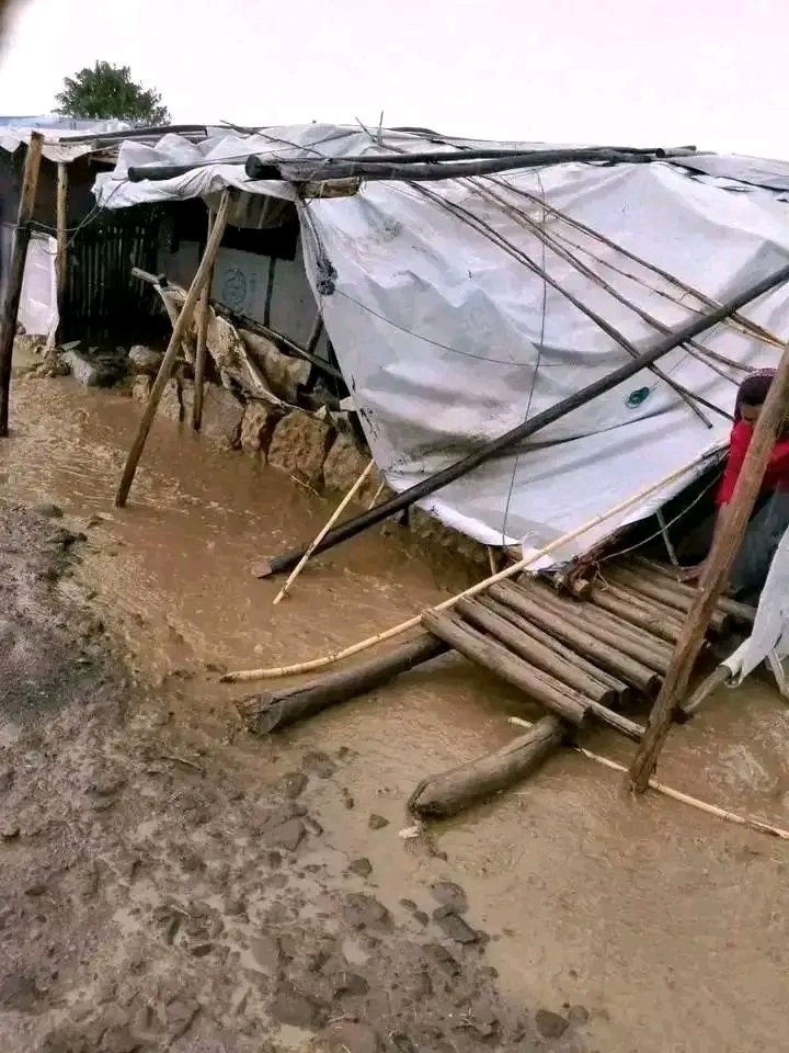 Saymen_mehari's tweet photo. 📍 WESTERN TIGRAY | 2,136 DAYS DISPLACED

💔 2,136 DAYS AWAY FROM HOME. 2,136 DAYS OF SUFFERING.

Mothers, children &amp; families continue to live in uncertainty.

🌍 UN, governments, NGOs &amp; donors: ACT NOW. Ensure safe, voluntary &amp; dignified return.
2,136 DAYS IS LONG ENOUGH. https://t.co/HHndxb7U9F