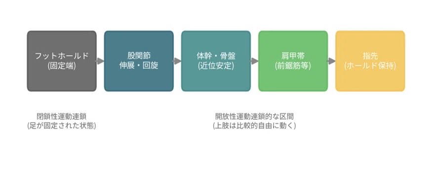 moso_climber's tweet photo. 「脚を使って登れ」と言われたことがない登山者・クライマーはいないと思います。
ただ足に体重を乗せるだけなのか、蹴って進むのか、それとも何か別の仕組みが働いているのか——

この疑問を解消するため、スポーツ科学の世界で広く知られる「運動連鎖」を元に研究をまとめました。

記事は↓ https://t.co/BhV7IDBD3z