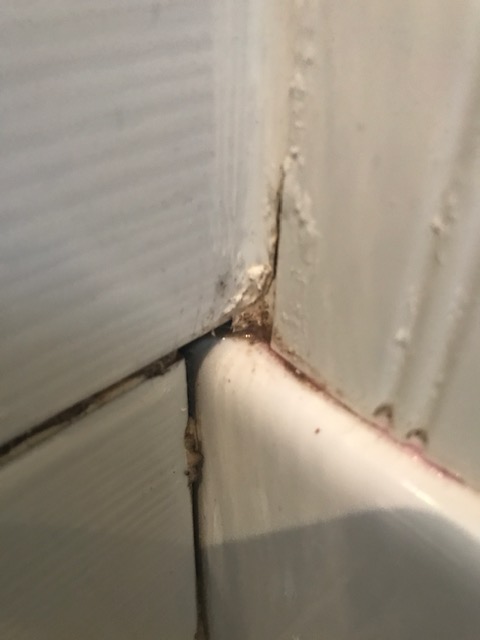 plombier_bou's tweet photo. Recherche de fuite à Theix-Noyalo

Grâce à une caméra d'inspection et à l'utilisation d'un colorant de traçage, j'ai pu localiser précisément l'origine de l'infiltration.

La cause : un défaut d'étanchéité des joints.

https://t.co/G2Wh6vRBSP https://t.co/dVEdHCP3Oh