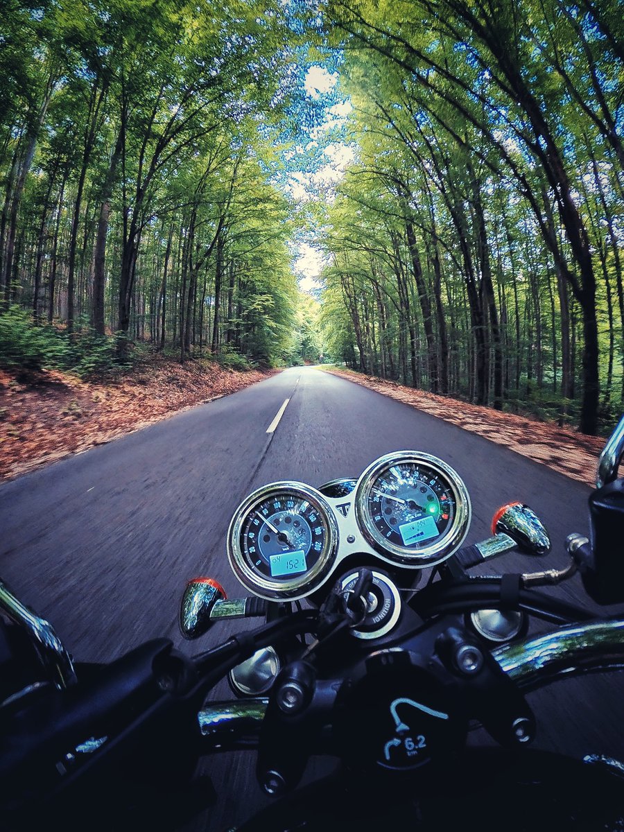 KarmaBehun's tweet photo. Adventure awaits with Triumph and Beeline. https://t.co/JukGRkNEqo