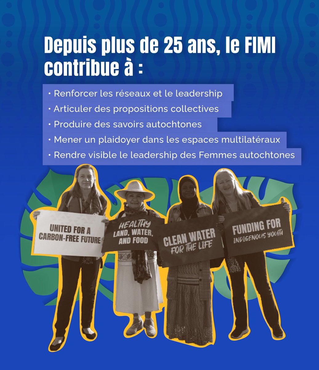 IIWF's tweet photo. https://t.co/yjqCXmweV6