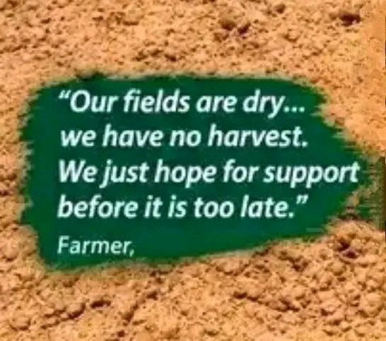 Saymen_mehari's tweet photo. 💔🖤 From Irob, Raya, Wajirat &amp; Abergele to across Tigray, drought is returning—bringing failing crops, hunger, hardship &amp; displacement. 🌀 How many times must our people endure this? Ask yourself: What can I do? What can we do? Silence is not an option. 🤲 #Tigray #Irob #Raya https://t.co/X34PnrgfEv