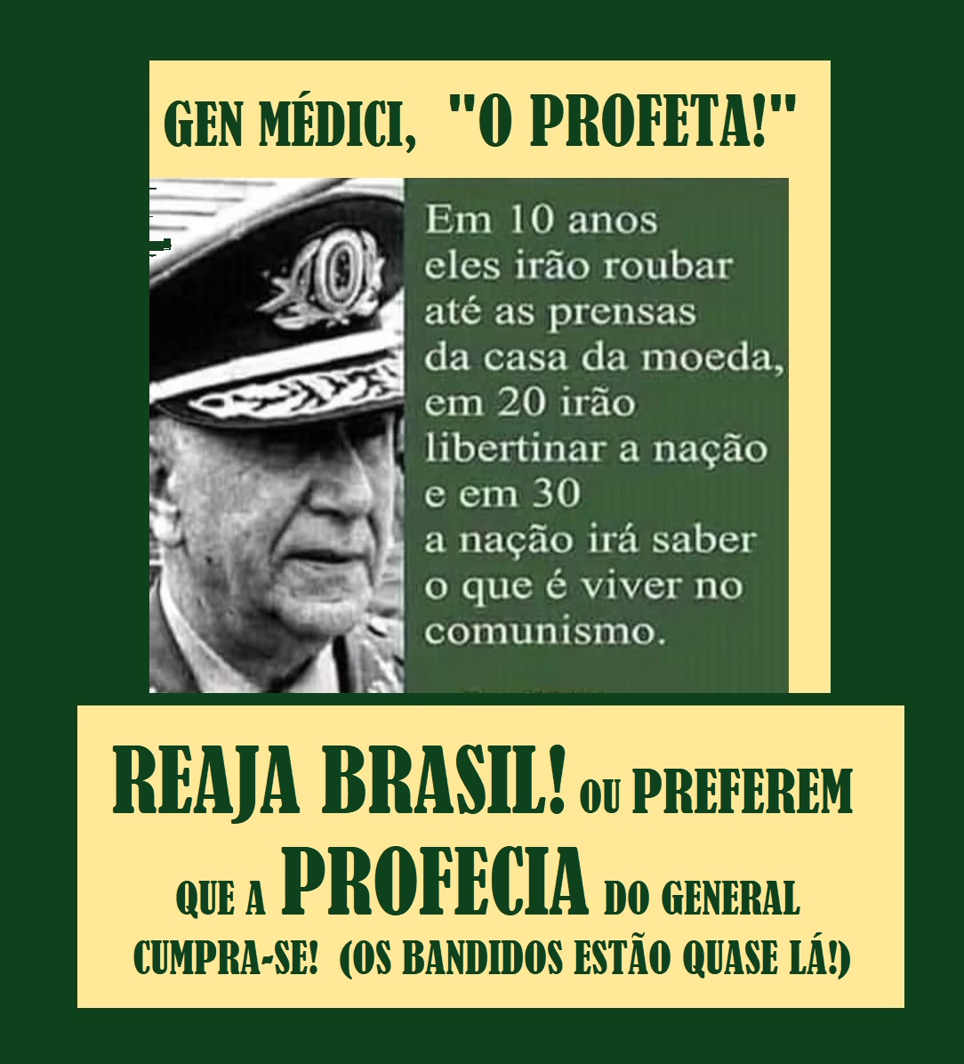 BONSAICHICO's tweet photo. @FtimaPesso2719 @MinAMendonca https://t.co/OSTWwBdilo