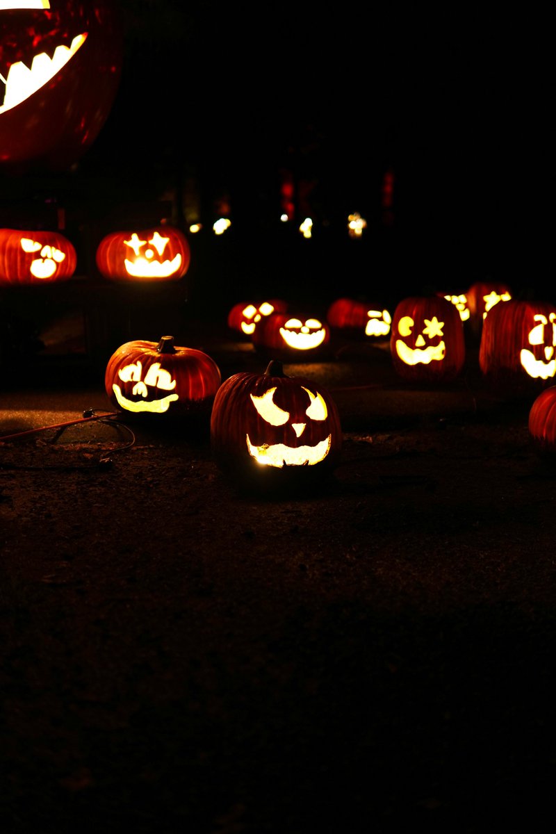 illmatic_studio's tweet photo. 【Audiostock】新着🎃

「Ghost Ball」
亡霊たちが踊る、疾走する三拍子のハロウィン・オーケストラ。
ハロウィン企画・イベント・ゲームのステージに。商用OK🆗

▼試聴・DL
https://t.co/awlePujVmZ

#Audiostock #ハロウィン #ゲームBGM https://t.co/5mWEVqxtsd