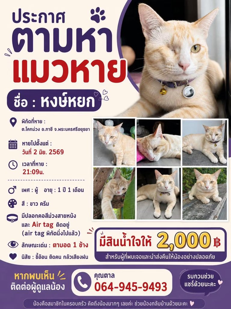 malimalineee's tweet photo. ตามหาน้องเเมว ช่วยหาน้องหน่อยคะ
ถัาพบเห็น หรือมีเบาะเเส โปรดเเจ้ง https://t.co/nHfw8gN71O