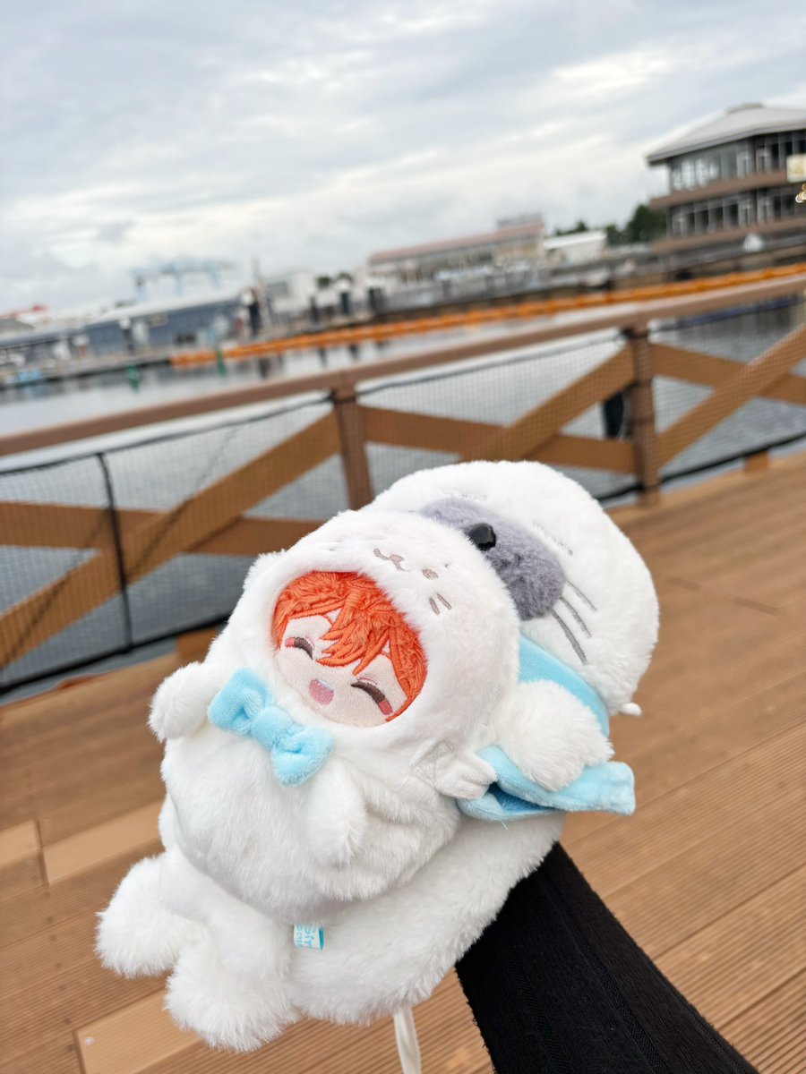 g_osbr's tweet photo. すい~🦭🛟 https://t.co/UvEkjTX2A9