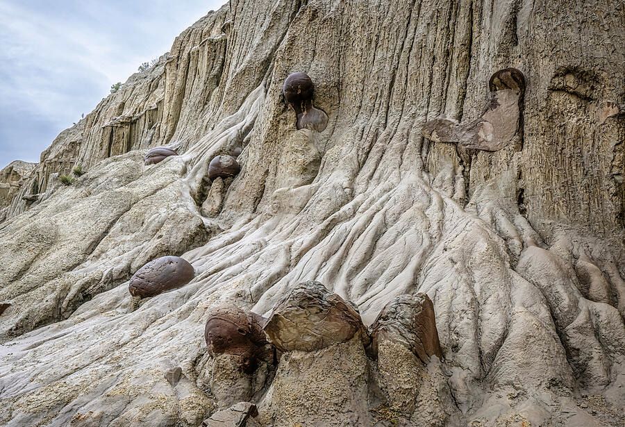 joancarroll's tweet photo. Cannonball Concretions 2 Theodore Roosevelt National Park ND! https://t.co/tTT3Lg7wwv #theodoreroosevelt #nationalpark #northdakota #cannonball #rockformations #erosion #landscape #rugged #FAArtist #buyart #HomeDecor #wallart #artforsale #artstore #travel #travelphotography #BuyIntoArt #AYearForArt #wallartforsale #giftideas @joancarroll