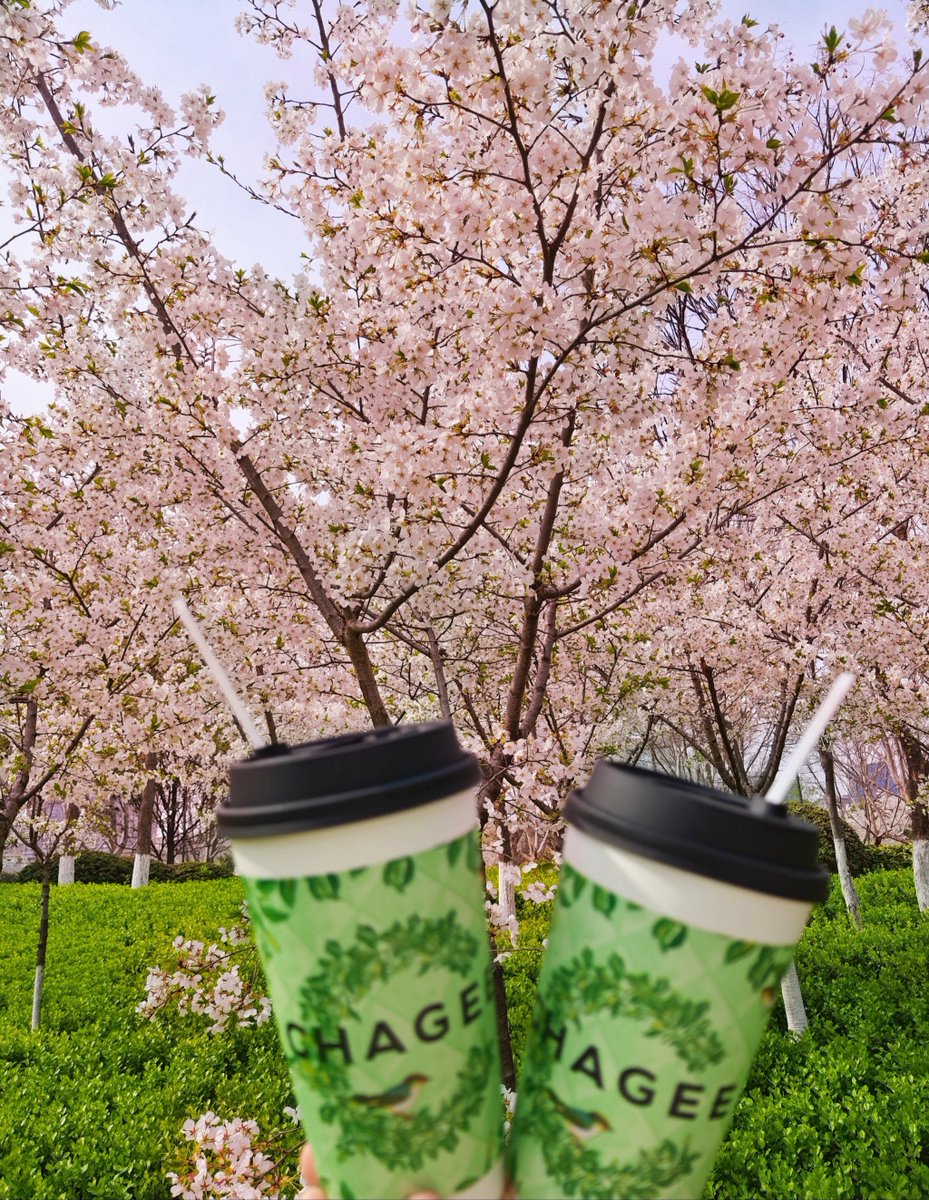 HuffVaness6813's tweet photo. Bright spring mornings are here! Birds chirping, cherry blossoms falling, coffee in hand—perfect little day , https://t.co/KU8rPl8cSU