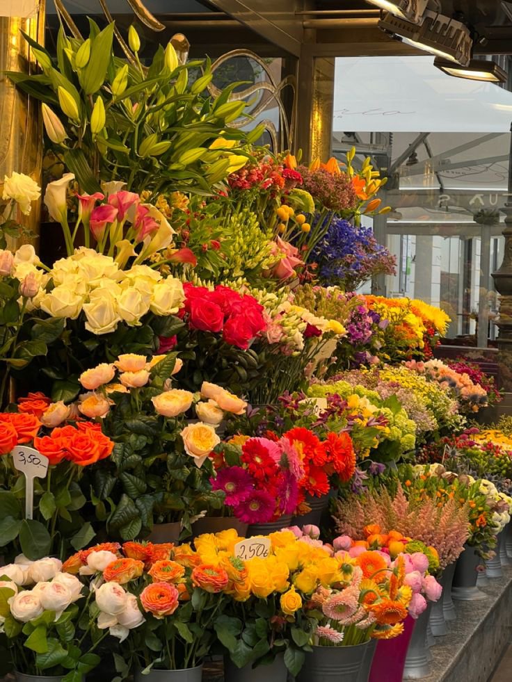 FLOWERS3700's tweet photo. https://t.co/LBGBnIDzDE