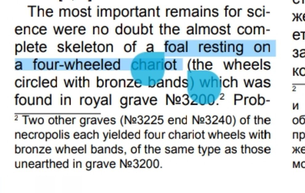 LordShaurya's tweet photo. At Margiana burial no.3200, a small chariot(?) was buried with a young horse foal over it and a dog nearby. The dog is probably sacrificed(?) for royalty.bEvidently they had small carts pulled by young horse foals. What exactly could be the purpose? To train them? Or for royalty? https://t.co/8yjU45aLdK