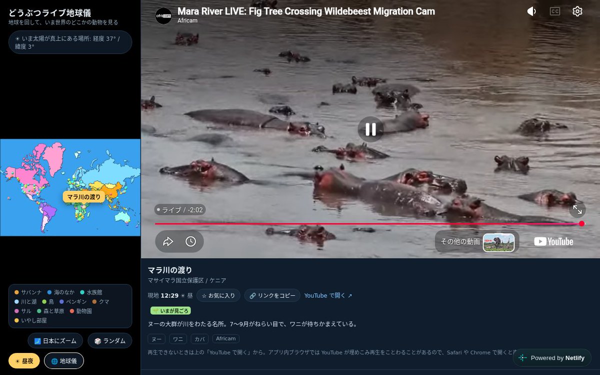 manapare_lab's tweet photo. いまケニアのマラ川では、カバがたくさん集まっています。
まなぱれラボの「どうぶつライブ地球儀」から、地図を回して現地の様子をのぞけます。

https://t.co/Ss7hDwUlR7
ほかのゲームはこちら → https://t.co/916slzgVNr https://t.co/oyWrT0Xx2H