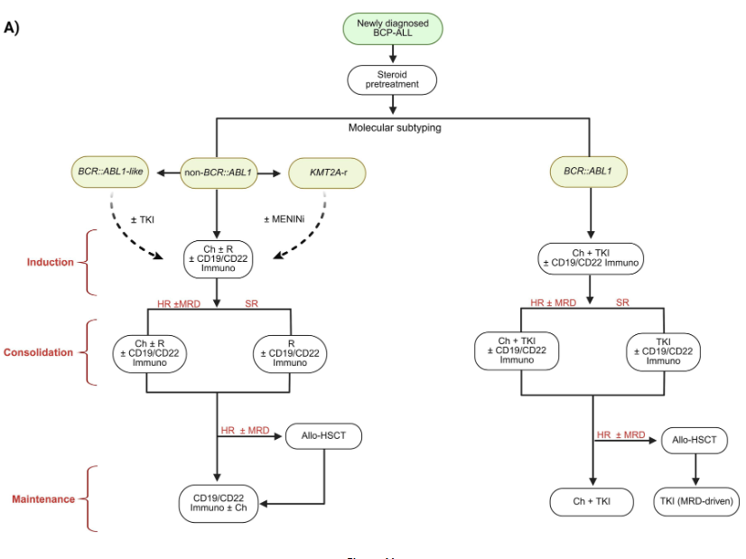 smbenlazar's tweet photo. B-cell precursor acute lymphoblastic leukaemia: Origins, classification, and therapeutic advances https://t.co/P9aS6B4Yuy #ALL #leusm https://t.co/lrmqLg7Xyp