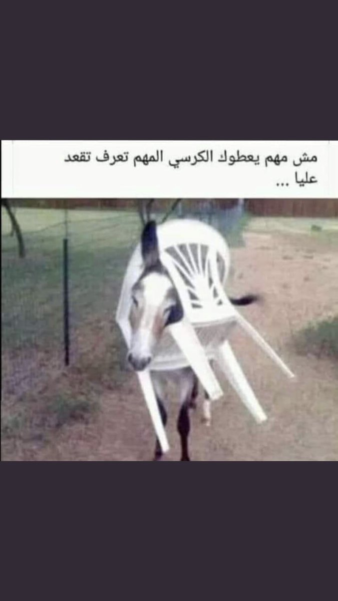 GioAbou's tweet photo. @HanadyGerges https://t.co/PJWmJV3JBT