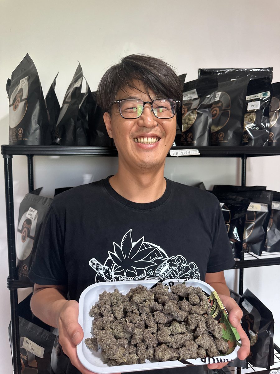 sakura_grow's tweet photo. 世界一の大麻屋になるため、
本気で頑張ってくれるスタッフの募集を、
明日、すべての国籍を対象に正式に始めます。

7月に発表してから、9月15日まで延期しました。
中途半端な準備のまま、人を迎えたくなかったからです。

会社を立ち上げ、ようやく仲間を迎えられる準備が整ってきました。

大麻が好きなら一緒に挑戦しましょう。
仕事として、本気で向き合える人とやりたいです。

探しているのは、ただの店員ではありません。
次の現場を、本気で一緒に作る仲間です。

自分がその一人だと思う人。
明日、見ていてください🌿