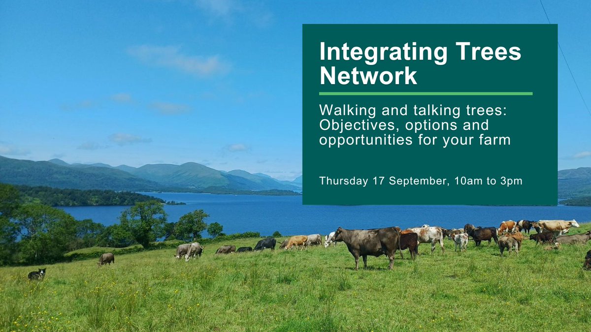 scotforestry's tweet photo. Coming up this week! 

Walking and Talking Trees: Objectives, options and opportunities for your farm 🌳

Portnellan Farm, near Balloch - Thurs 17 Sept, 10am to 3pm. 

Join the Scott-Park family to explore how trees can benefit your farm business.

Book: https://t.co/EyYye8jPiu https://t.co/G6bRseoMu0